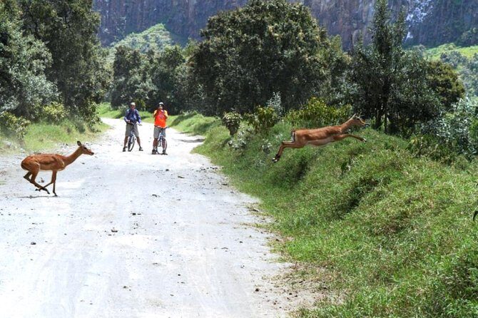 Hells Gate Excursion in Naivasha - The stories you get with the scenery: Masai community and rally history