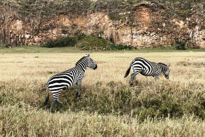 Hells Gate Excursion in Naivasha - Value for $95: worth it if you want variety and a real guide