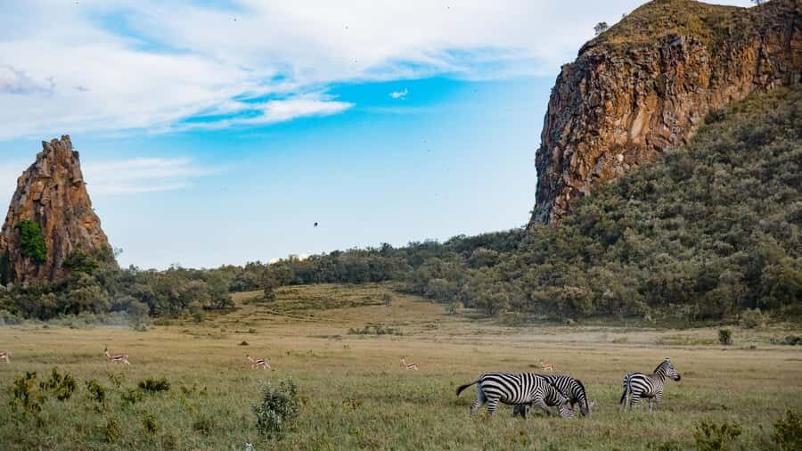 Hell's Gate & Lake Naivasha: Bike Tour, Hike & Boat Ride - Why This Hell’s Gate and Lake Naivasha Combo Beats the Usual Van Safari