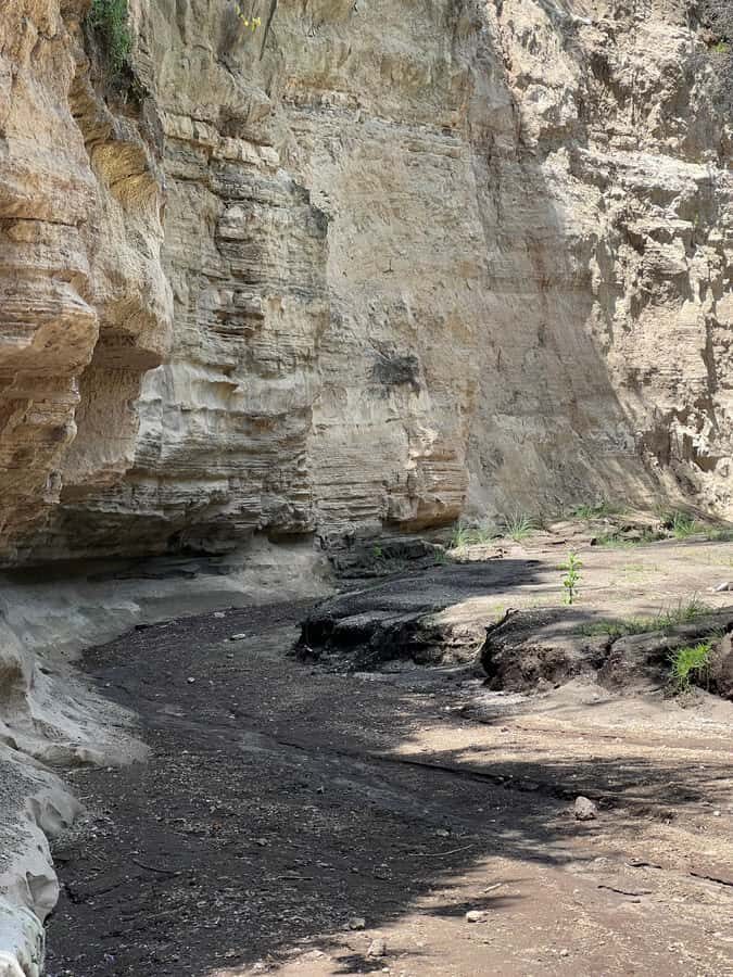 Hell's Gate & Lake Naivasha: Bike Tour, Hike & Boat Ride - Fischer’s Tower Optional Climb: The Adrenaline Choice With Safety Gear