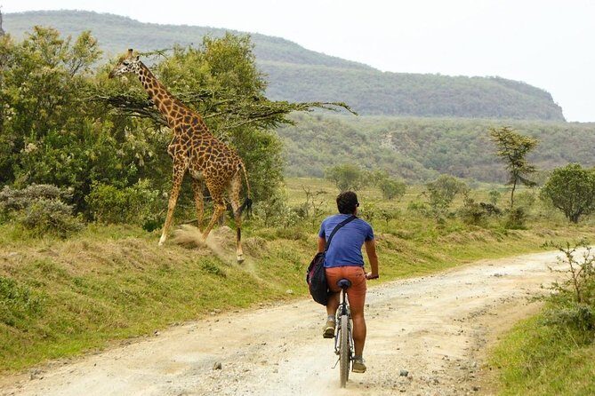 Hell's Gate & Lake Naivasha Small Group Day Tour - Guaranteed Daily Departure - Hell’s Gate National Park: bikes, game drive, and the walking safari