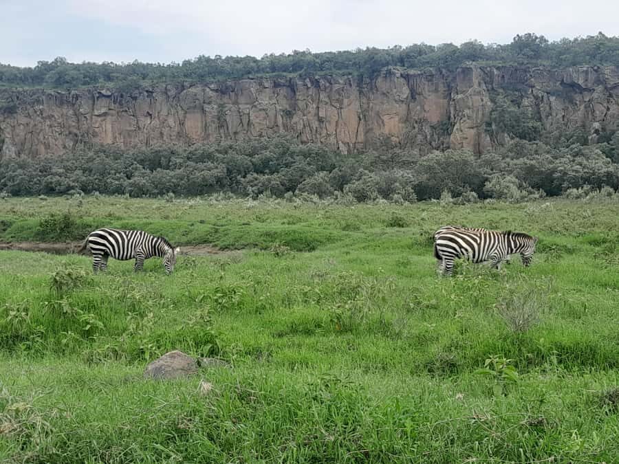 Hells Gate National Park and Lake Naivasha Day Tour - Gorges and Lion King scenes: the walk that makes the day memorable