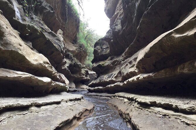 Hells Gate National Park & Lake Naivasha Day Trip from Nairobi - Key highlights to look for