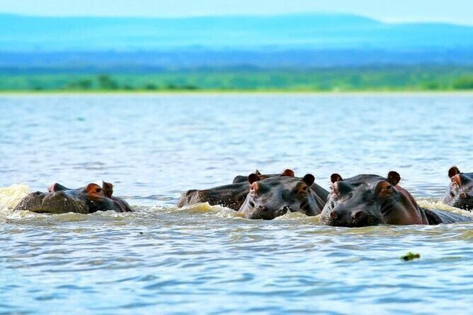 Hell's Gate Park and Lake Naivasha Day Tour - The Hell’s Gate + Lake Naivasha combo actually makes sense