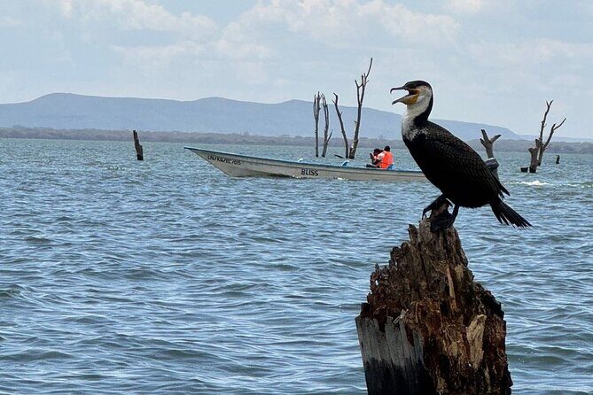 Hell's Gate Park and Lake Naivasha Day Tour - Cycling through Hell’s Gate: the 8 km ride and ranger rest