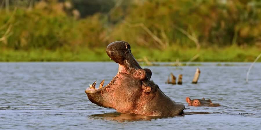 Hellsgate and Lake Naivasha Day Trip from Nairobi - What’s included vs what costs extra (so you can budget without surprises)