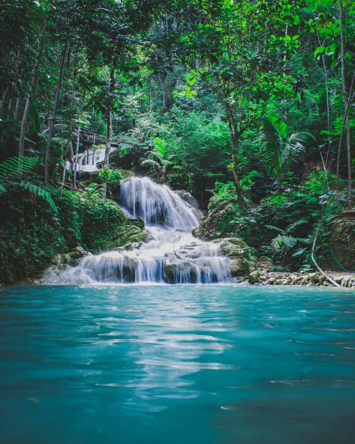 Hike in The Karura Forest - Starting at 13 Nkrumah Ave and hiking with Musa