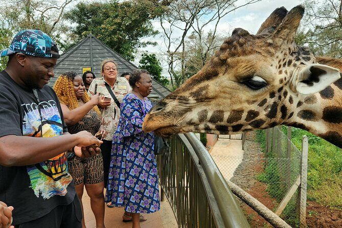 Karen Blixen Museum, Beads craft and Giraffe Day tour - What the guide adds: Nairobi context, smooth pacing, and real Q&A