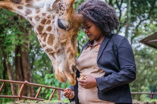 Karen Blixen Museum & Giraffe Centre Half day tour - Getting the most out of it: small choices that improve your afternoon
