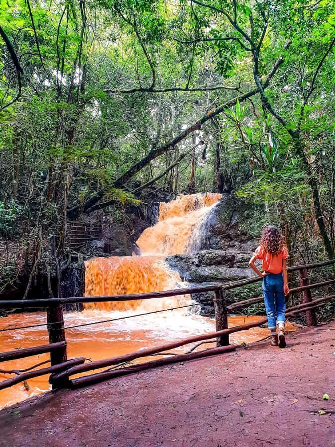 Karura forest A walking tour from Nairobi - Why Karura Forest Works as a Nairobi Reset