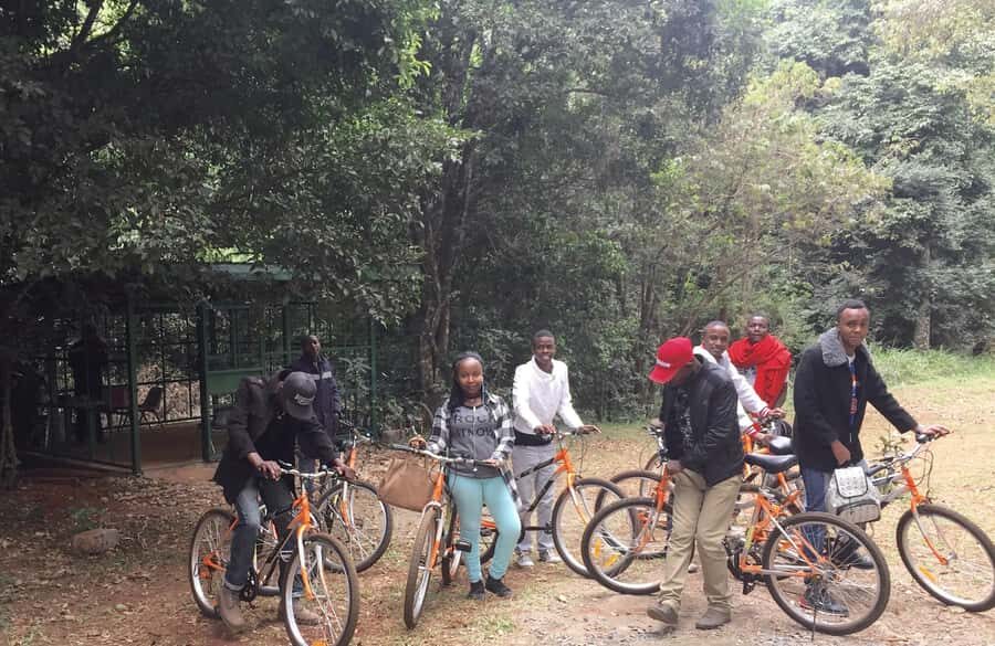 Karura forest A walking tour from Nairobi - Who This Tour Suits Best (and Who Might Feel Rushed)