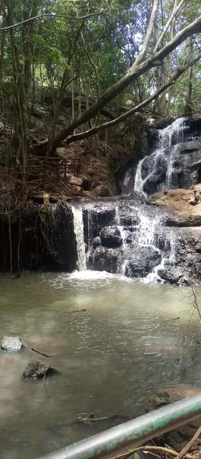 Karura forest: A walking tour into Nairobi's Nature Oasis - Key highlights worth your time