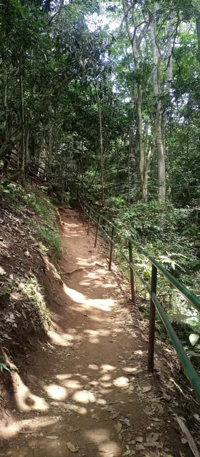 Karura forest: A walking tour into Nairobi's Nature Oasis - First step inside Karura: from Karura Forest Gate C