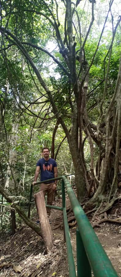 Karura forest: A walking tour into Nairobi's Nature Oasis - Karura Waterfalls: why the sound matters