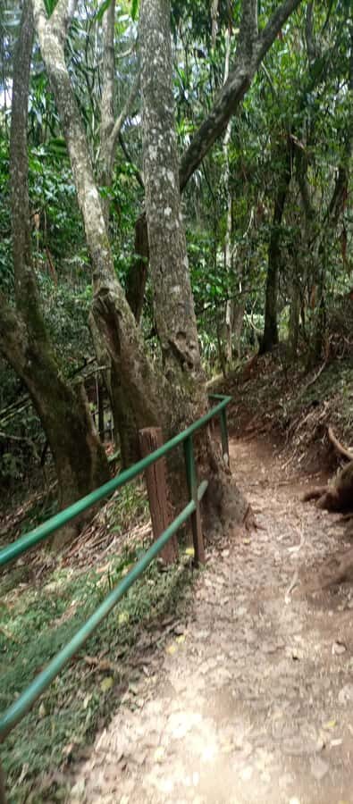 Karura forest: A walking tour into Nairobi's Nature Oasis - Mau Mau Caves: history you can actually walk toward