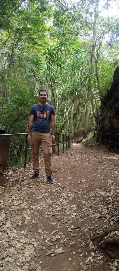Karura forest: A walking tour into Nairobi's Nature Oasis - Shade and wildlife on the canopy trail