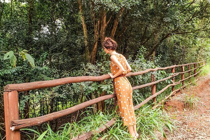 Karura Forest Hiking and Bike Tour - Key highlights at a glance
