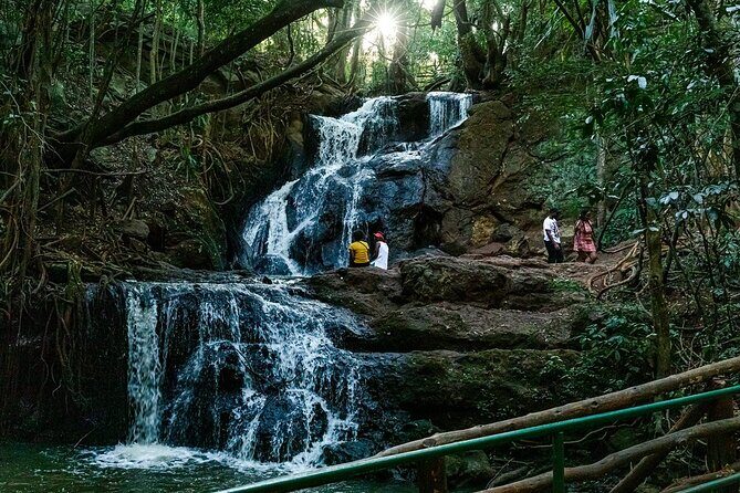 Karura Forest Hiking and Bike Tour - Karura Forest: Nairobi’s quiet reset button