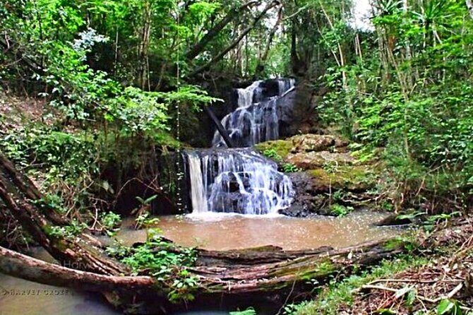 Karura Forest Hiking and Bike Tour - Pickup, bike hire, and the smooth start at 9AM