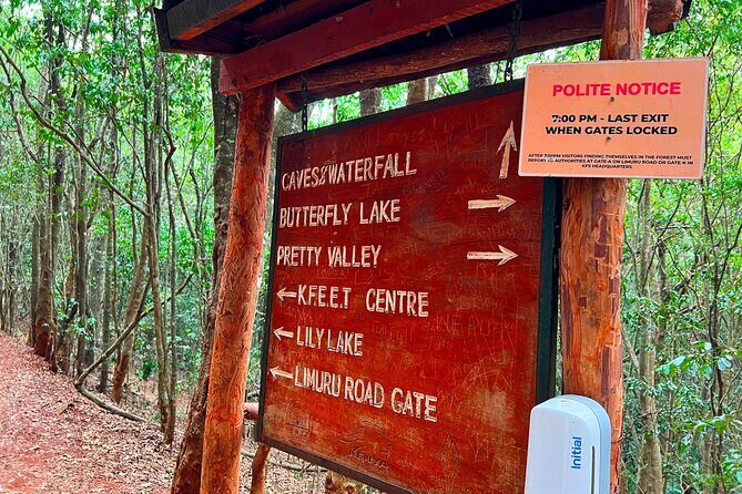 Karura Forest Nature Trail - Price and value for $90 with guide, water, and transport