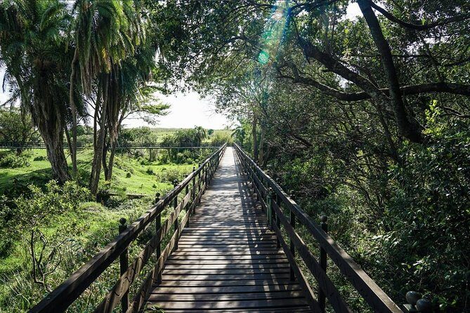 Keekorok Lodge 3 Days, 2 Nights Maasai Mara Offer - Day 1 at Keekorok: arrive, settle, and let the lodge do some work for you