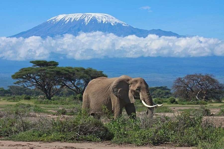 Kenya: 7-Day Big 5 Safari Tour from Nairobi - Day 1: Nairobi to Maasai Mara via Great Rift Valley viewpoints and sunset drive