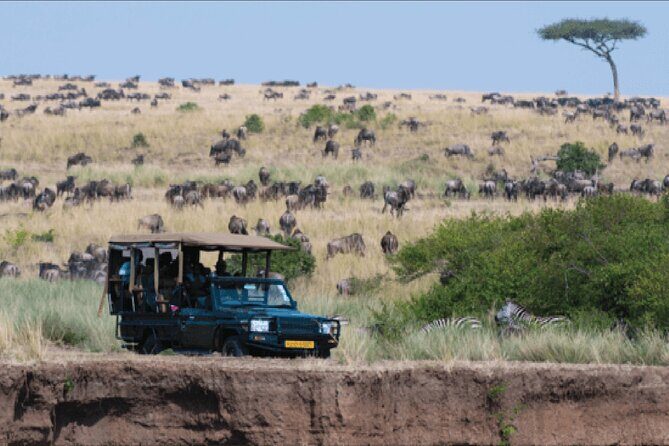 Kenya safari - What $1,350 Gets You: Value That Comes From Fewer Decisions