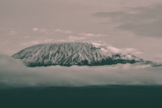 Kilimanjaro Wanderlust Day Hike - Key points worth knowing