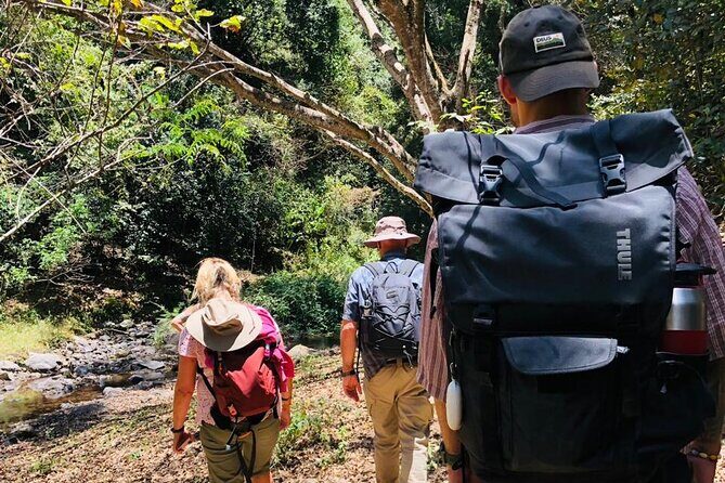 Kilimanjaro Wanderlust Day Hike - Why this Kilimanjaro foothills hike feels different