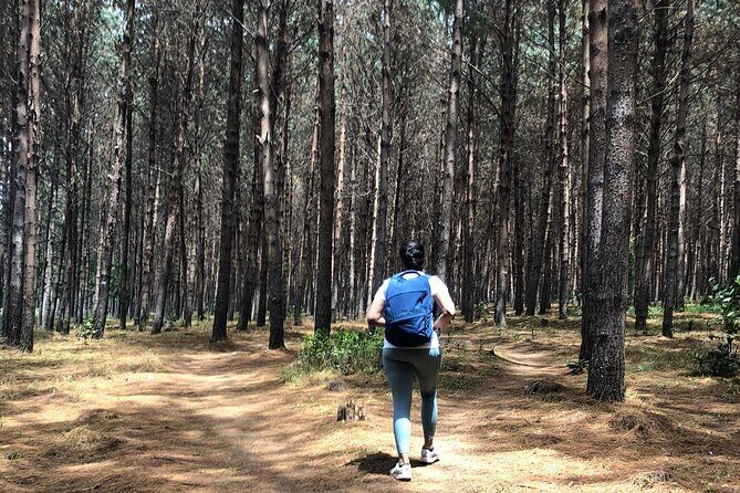 Kilimanjaro Wanderlust Day Hike - Outward Bound Guesthouse start: timing and logistics that matter
