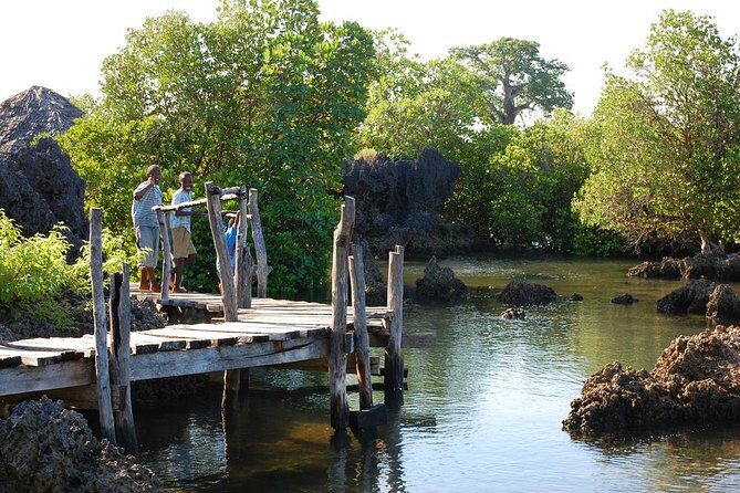Kisite Marine Park Private Boat Snorkeling with breakfast & Lunch - Coral Garden and Fishing Village: Learning Without Feeling Like Homework