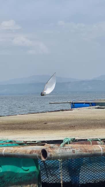 Kisumu Lake Victoria Boat Ride and Hippo Hunt - Birdwatching along the shores: what you’re actually doing