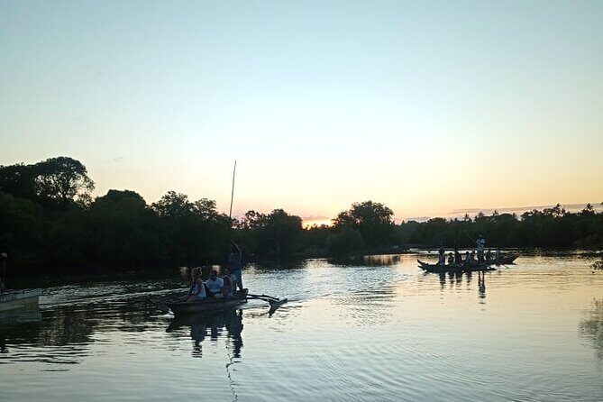 Kongo River Sunset Experience in Canoe - Birdwatching on the Kongo Estuary: why it can feel like a living checklist