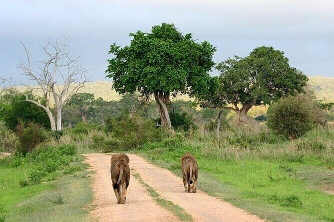 Lake Naivasha And Lake Nakuru Overnight Tour - Key Highlights at a Glance