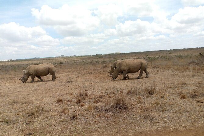 Lake Naivasha And Lake Nakuru Overnight Tour - Price and Value: What $315 Really Buys You