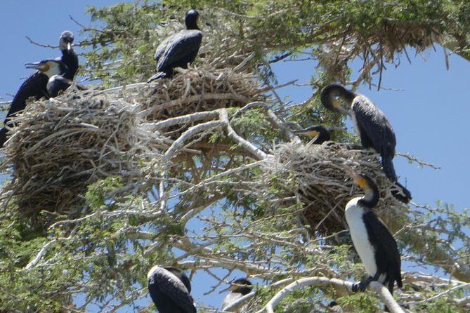 Lake Naivasha day tour including the crescent island - Who This Tour Fits Best (And Who Might Feel It’s Too Much)