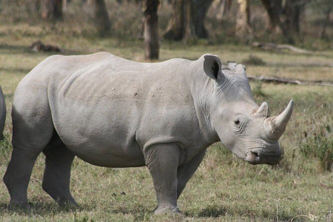 Lake Nakuru Day Trip From Nairobi - Timing, group size, and the reality of a full 10 hours