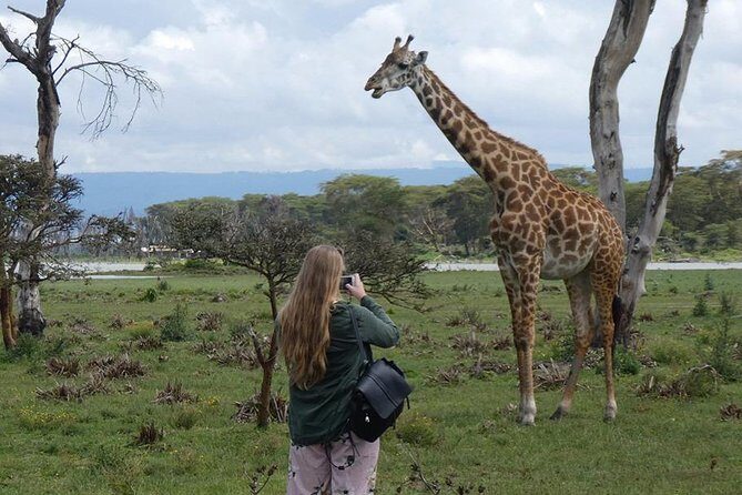 Lake Nakuru National Park: Day Trip from Nairobi - Price and value: what $170 covers and what to budget for entrance