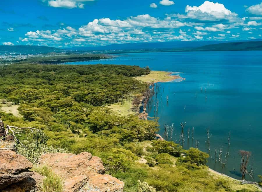 Lake Nakuru National Park: Daytrip in a 4X4 Private Jeep - Entering Lake Nakuru: Where the Lake Tells the Story
