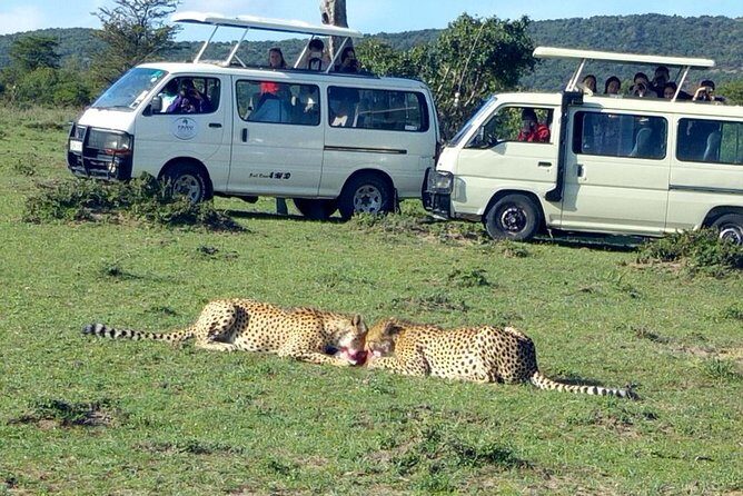 Maasai Mara 2-Day Safari Tour from Nairobi - Key Things I’d Focus On