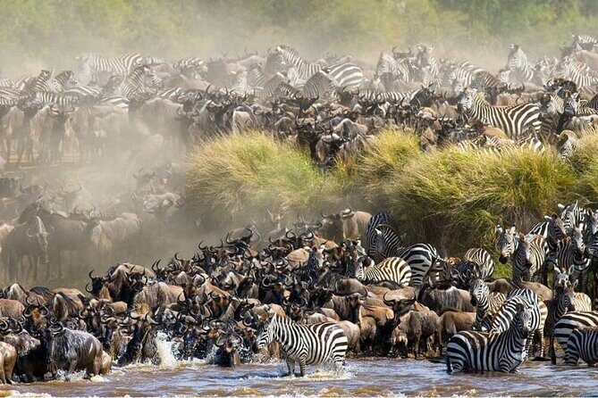 Maasai Mara 3 Day Guided Tour - Day 1 in Maasai Mara: arrival, briefing, and an afternoon drive