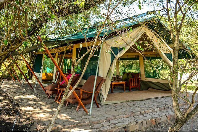 Maasai Mara 3 Day Guided Tour - Price and value: what you get for $768 per person