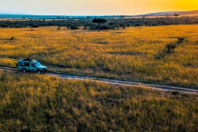 Maasai Mara 3 Day Guided Tour - Who should book this Maasai Mara tour?