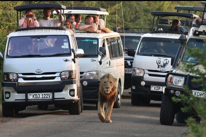 Maasai Mara Day Trip - Key things that make this trip click