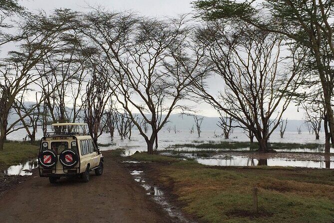 Maasai Mara Day Trip - Arriving in Maasai Mara around 9:00 am: what your game drive time is really like