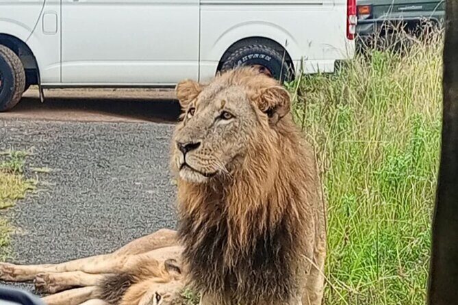 Maasai Mara Day Trip - Group size, transport style, and who will enjoy this most