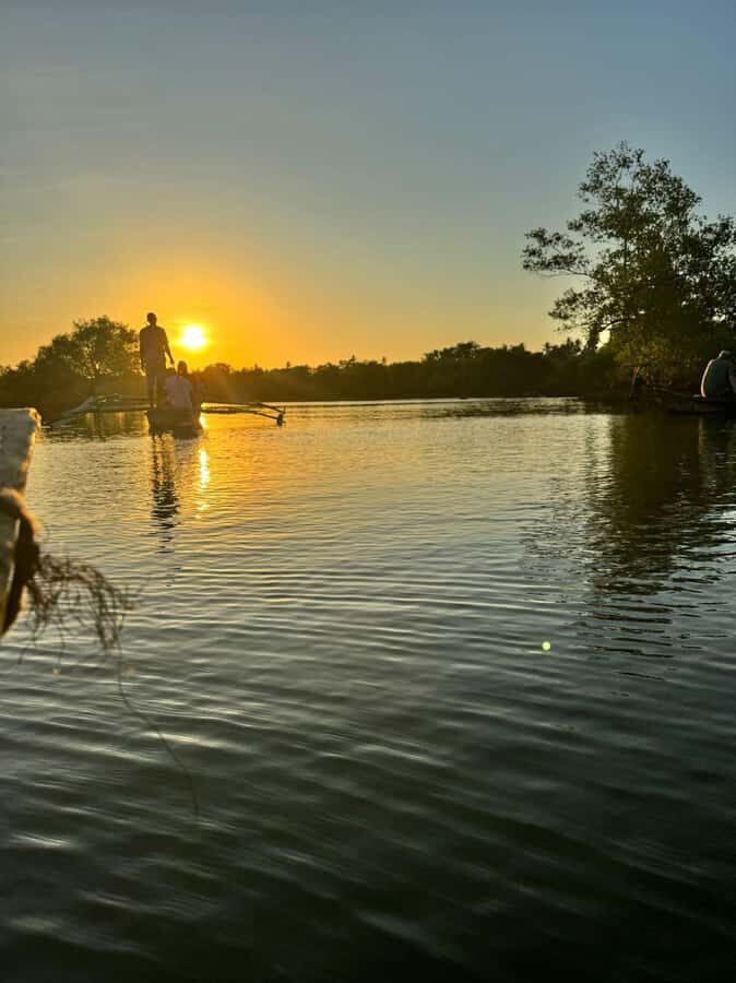 mangrove tour - What Makes This Tour Worth Your Time