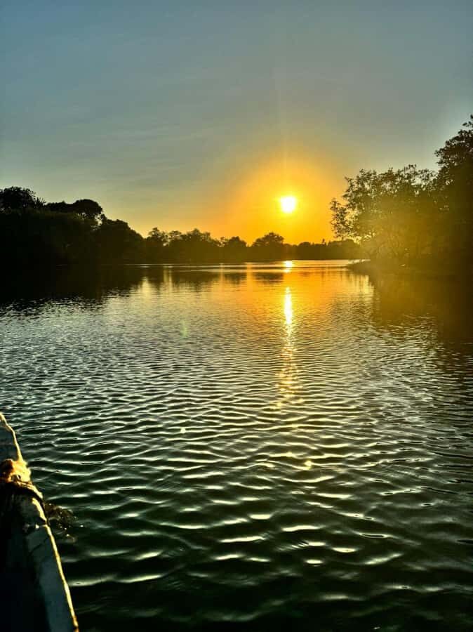 mangrove tour - Cruise on the Kongo River: Mangroves on Both Sides