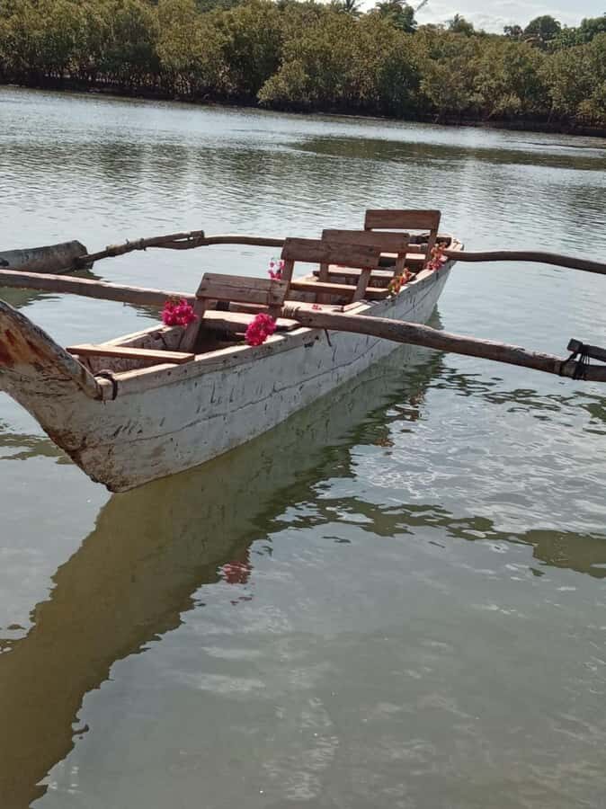 mangrove tour - How Long It Really Takes (and Why 2 Hours Works)