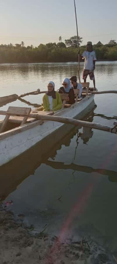 mangrove tour - Who This Tour Fits Best